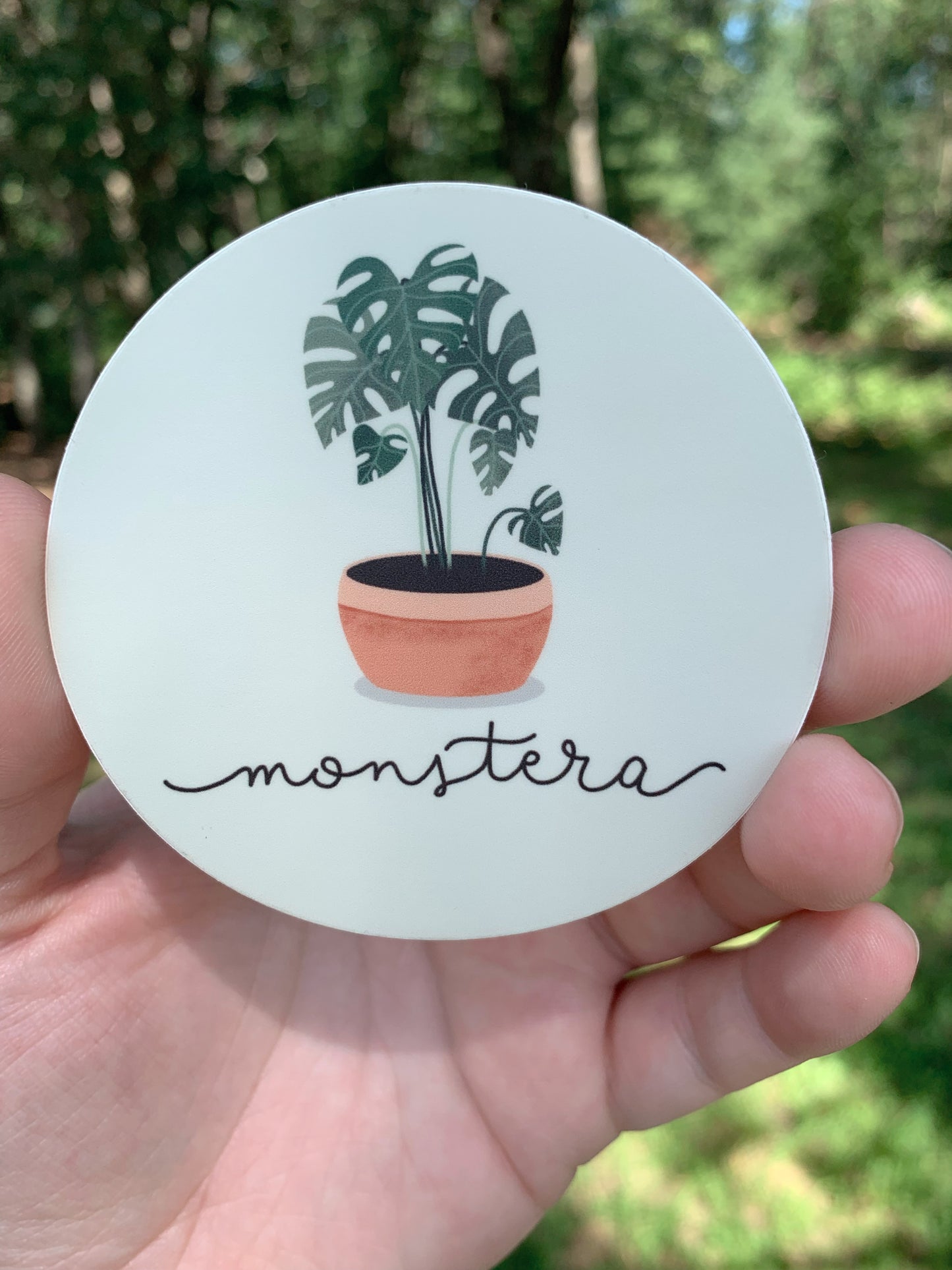Monstera Plant Sticker, 3 x 3 in