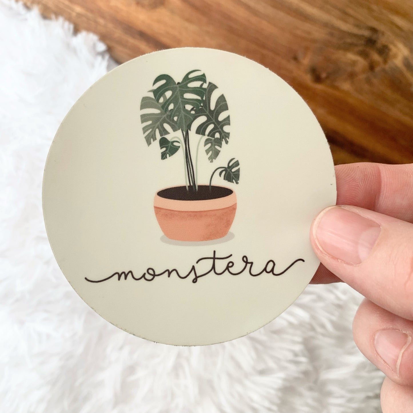Monstera Plant Sticker, 3 x 3 in